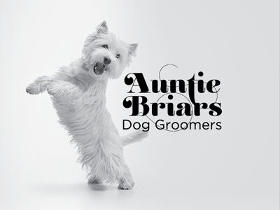 Branding for Auntie briars Dog Grooming