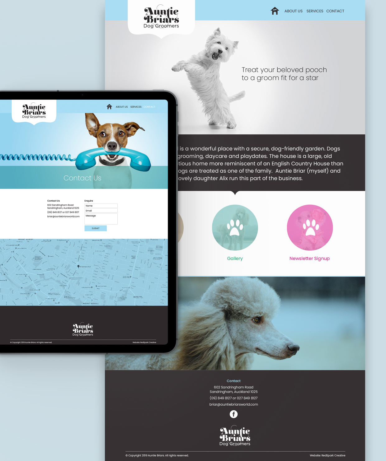 Website for Auntie briars