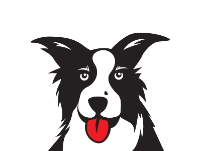 Branding for dog cakes company